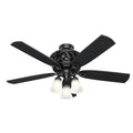 Promenade Ceiling Fan with Light by Hunter