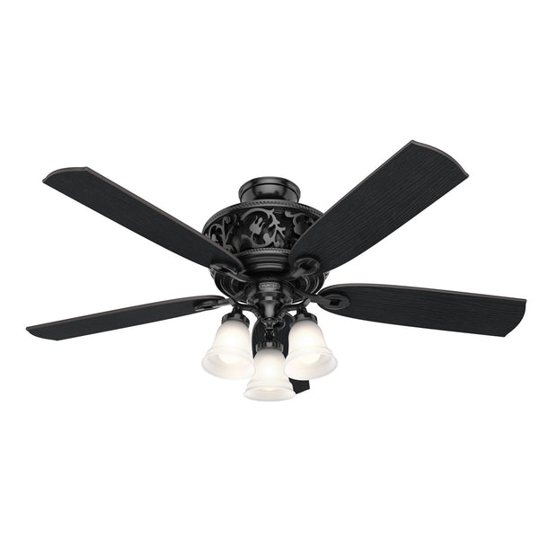 Promenade Ceiling Fan with Light by Hunter