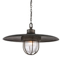Acme Pendant by Troy Lighting