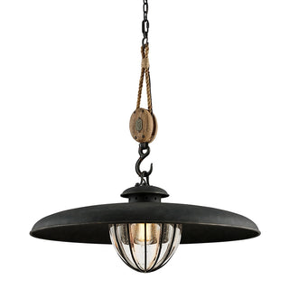 Buy forged-iron-with-clear-glass Murphy Pendant by Troy Lighting