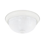 Capital Lighting-219021MW|MAIN
