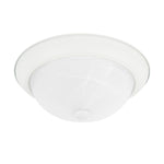 Capital Lighting-219022MW|MAIN