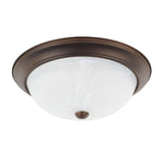 Capital Lighting-219031BZ|MAIN