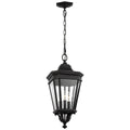 Cotswold Lane Outdoor (Damp) Hanging Lanterns by Generation Lighting