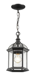 Annex Outdoor (Wet) Hanging Lanterns by Z-Lite