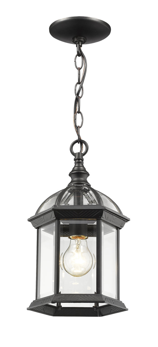 Annex Outdoor (Wet) Hanging Lanterns by Z-Lite