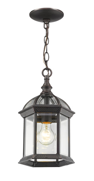 Buy rust Annex Outdoor (Wet) Hanging Lanterns by Z-Lite