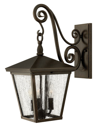 Buy regency-bronze-with-clear-seedy-glass-and-clear-shade Trellis Outdoor (Wet) Wall Lantern by Hinkley
