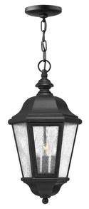 Edgewater Outdoor (Damp) Hanging Lantern by Hinkley