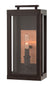 Oil Rubbed Bronze with Clear Glass and Clear Shade
