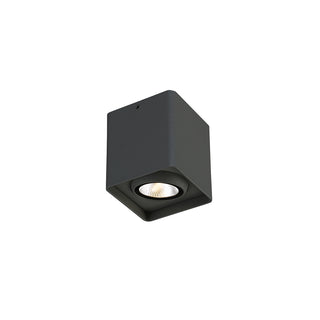 Buy graphite-grey Outdoor Outdoor (Wet) Sconce by Eurofase