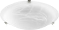 Ceiling Mounts Outdoor (Damp) Ceiling Light by Quorum