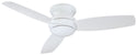 3-Blades Traditional Concept Outdoor (Wet) Hugger Ceiling Fan with Light by Minka Aire