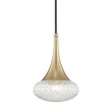 Bella Outdoor (Damp) Pendant by Mitzi
