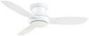 Concept II Outdoor (Wet) Hugger Ceiling Fan with Light by Minka Aire