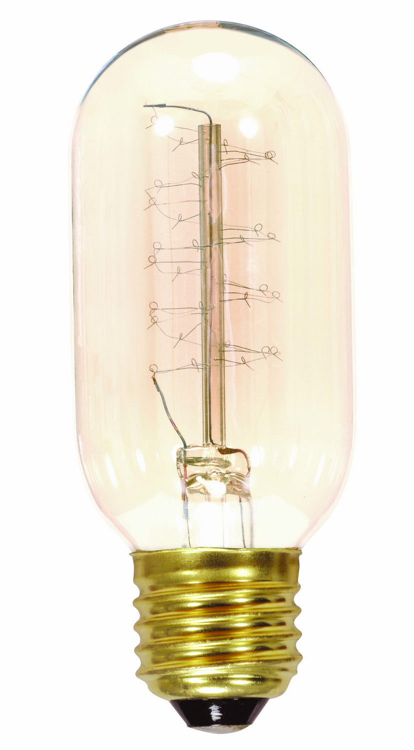 Antique 40 Watt E26 T14 120V Incandescent 2700k Light Bulb by Satco