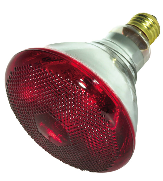 Reflector 175 Watt E26 BR38 120V Incandescent Light Bulb by Satco