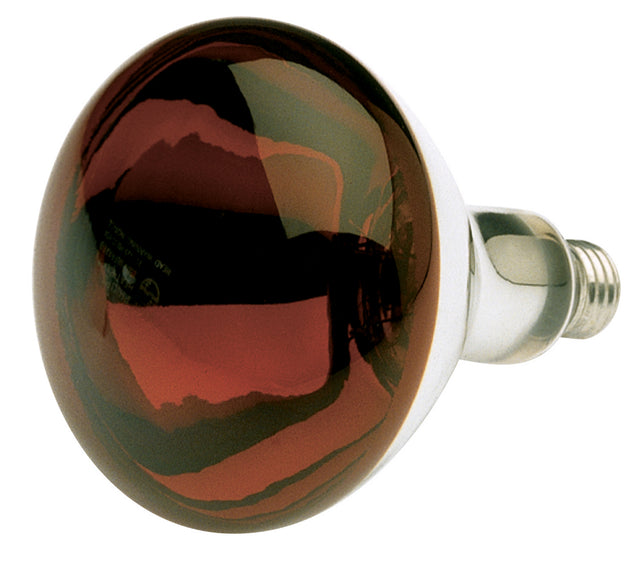 Reflector 250 Watt E26 R40 120.00V Incandescent Light Bulb by Satco