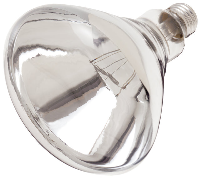 Reflector 250 Watt E26 R40 120.00V Incandescent 2700k Light Bulb by Satco