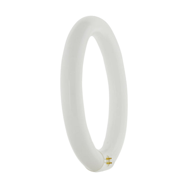 Satco-S6507|ALT|2