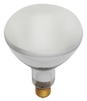 Satco Reflector Light Bulb