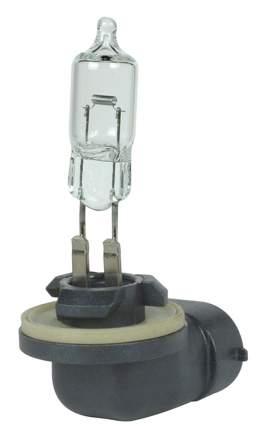 Tubular 37 Watt PGJ13 T3.25 12.8V Incandescent Light Bulb by Satco