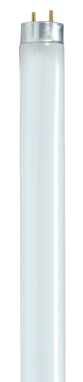 Buy gloss-white-with-gloss-white-glass Tubular 32 Watt G13 T8 Fluorescent 4100k Light Bulb by Satco