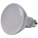 Satco-S9621|ALT|1