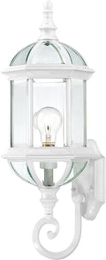 Boxwood Outdoor (Wet) Wall Lantern by Nuvo Lighting
