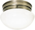 Outdoor (Damp) Flush Mount Light by Nuvo Lighting