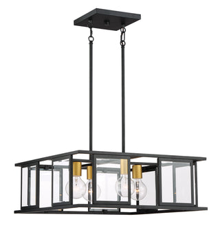 Buy midnight-bronze-and-clear-seedy-shade Payne Pendant by Nuvo Lighting