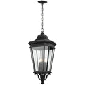 Cotswold Lane Outdoor (Damp) Hanging Lantern by Generation Lighting