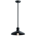 Allenbury Outdoor (Damp) Pendant by Kichler