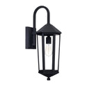 Ellsworth Lantern by Capital Lighting
