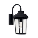 Dunbar Wall Lantern by Capital Lighting