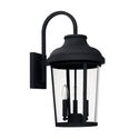 Dunbar Lantern by Capital Lighting