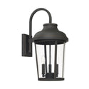 Dunbar Lantern by Capital Lighting
