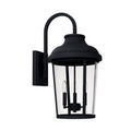 Dunbar Wall Lantern by Capital Lighting