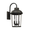 Dunbar Lantern by Capital Lighting