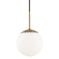 Paige Outdoor (Damp) Pendant by Mitzi