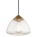 Maya Outdoor (Damp) Pendant by Mitzi