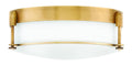 Colbin Flush Mount Ceiling Light by Hinkley