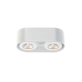Nymark Outdoor (Damp) Flush Mount Ceiling Light by Eurofase