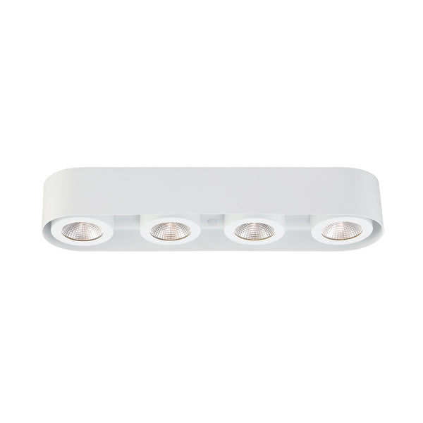 Nymark Outdoor (Damp) Flush Mount Ceiling Light by Eurofase