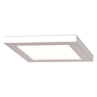 Boxer Outdoor (Wet) Flush Mount Ceiling Light by Access