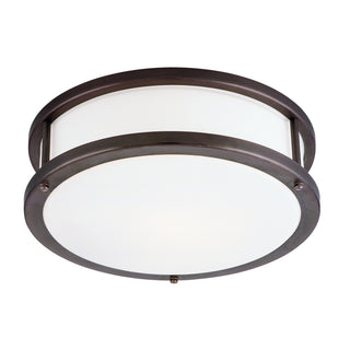 Buy bronze-with-opal-glass Conga Outdoor (Damp) Flush Mount Ceiling Light by Access