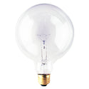 Globe Light Bulb by Bulbrite