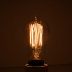 Bulbrite-132510|ALT|2