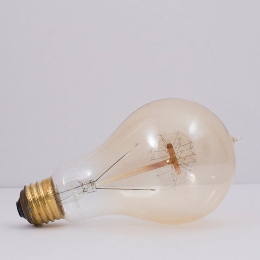 Antique 25 Watt E26 Medium A19 120V Incandescent 2200k Light Bulb by Bulbrite