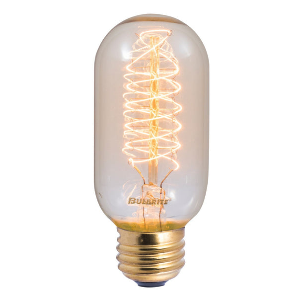 Tubular 40 Watt E26 T14 120.00V Incandescent 2200k Light Bulb by Bulbrite